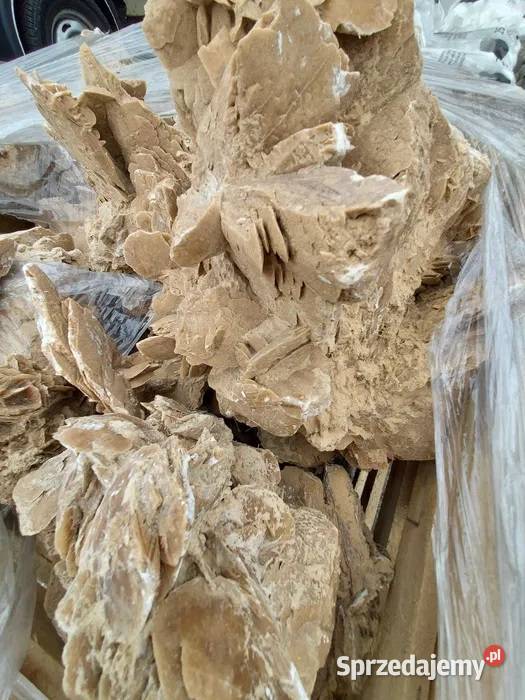 Desert Rose Róża Pustyni Ogród Łuków