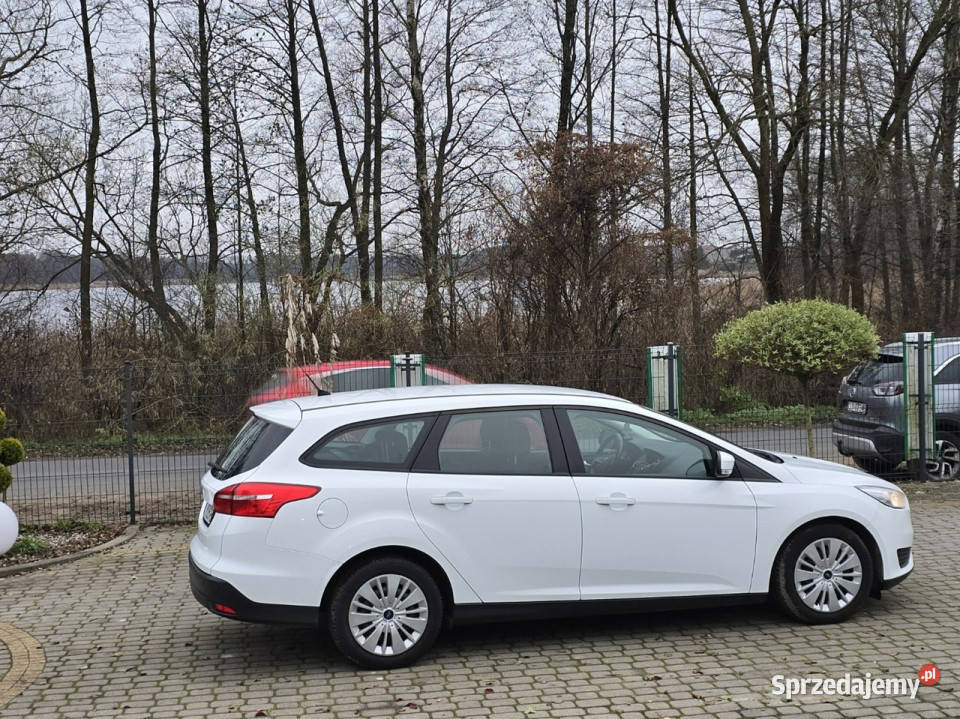 Ford Focus 15 TDCi 95 Salon Serwisowany Mk3 Skępe sprzedam
