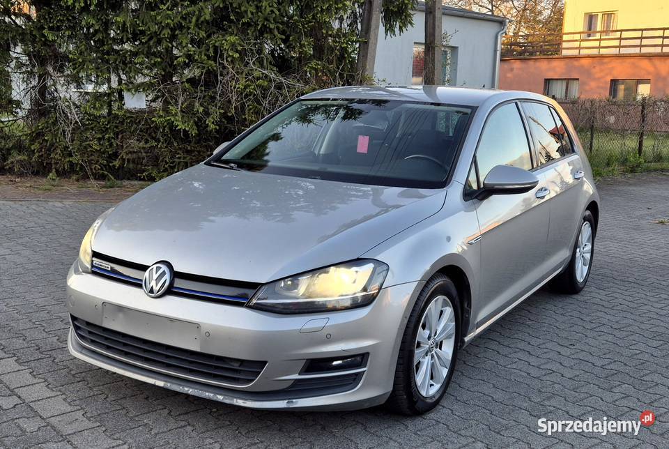 Volkswagen Golf 7 16 TDI BlueMotion diesel