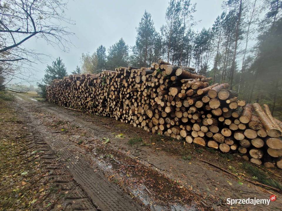 Drewno sosnabrzozaosika Tarczyn