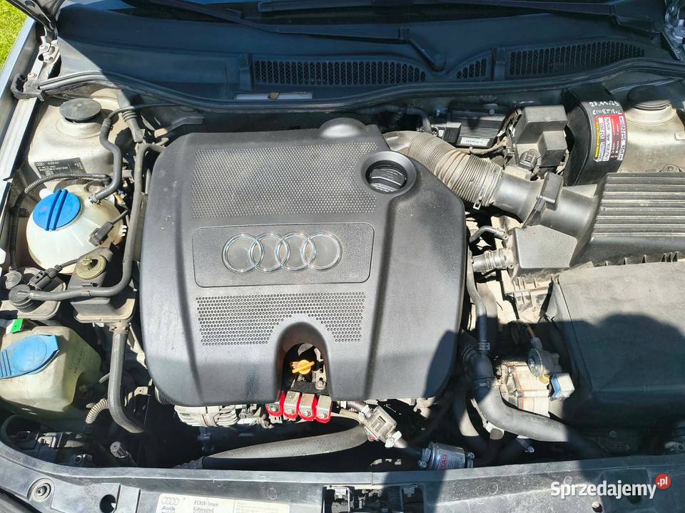 Audi A3 16 Sekwencja Długie opłaty Klima Szczerców sprzedam
