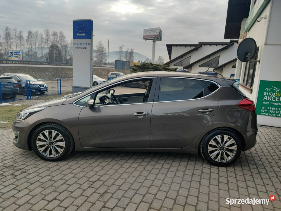 Kia Ceed Serwisowany w Aso Kia II 2012 nawigacja Ustroń