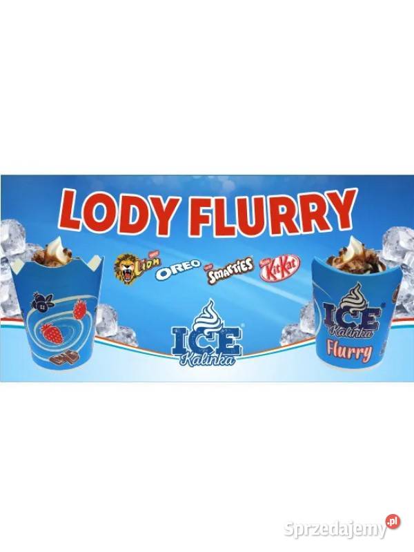 Baner reklamowy LODY FLURRY 100x50 Sandomierz