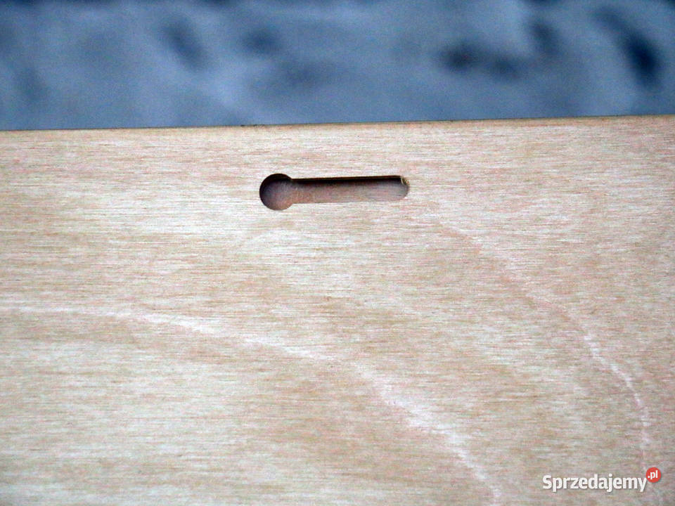 Jastrząb Obraz wypalony w drewnie Jasienica Rosielna