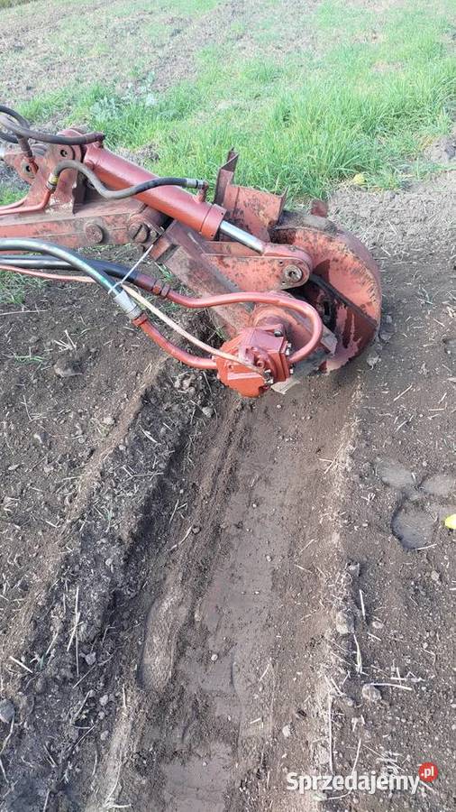 DT 75 błotniak z przyrządem meliracyjnym sprzedam