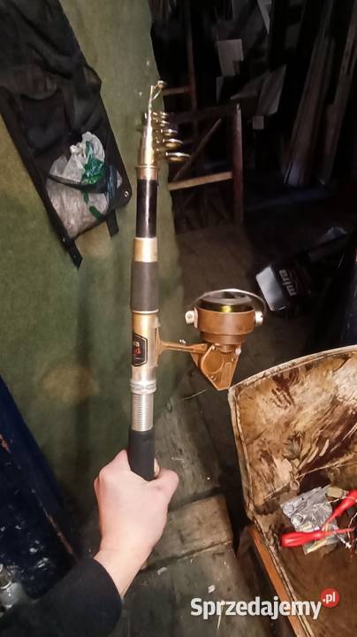 Wędka DAIIWA Legnica