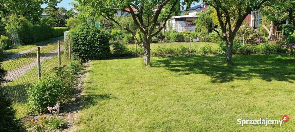 Działka ROD SUCHARSKIEGO Wejherowo 429m2 DOMEK 186zł/m2 sprzedam