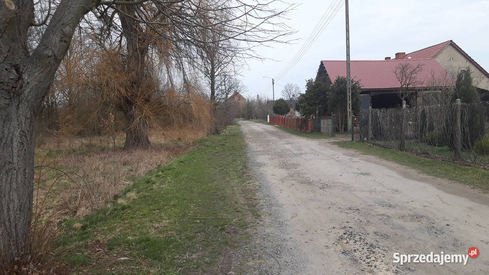 Twoje miejsce na dom wśród zieleni Koźla 2400 m lubuskie sprzedam