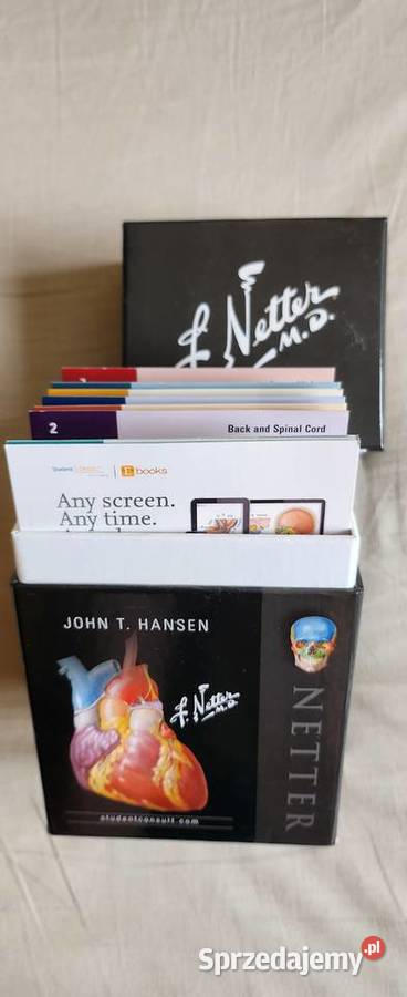 Netters Anatomy flash cards J Hansen