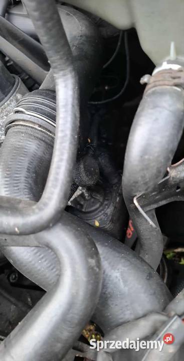 AUDI A4 B6 Na CZĘŚCI TANIO