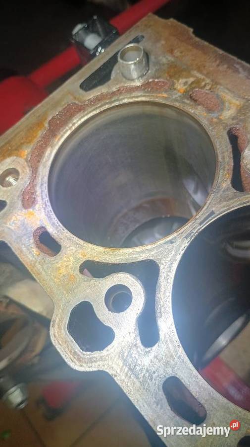 Blok silnika z16xep Opel Fiat GM Rzeszów