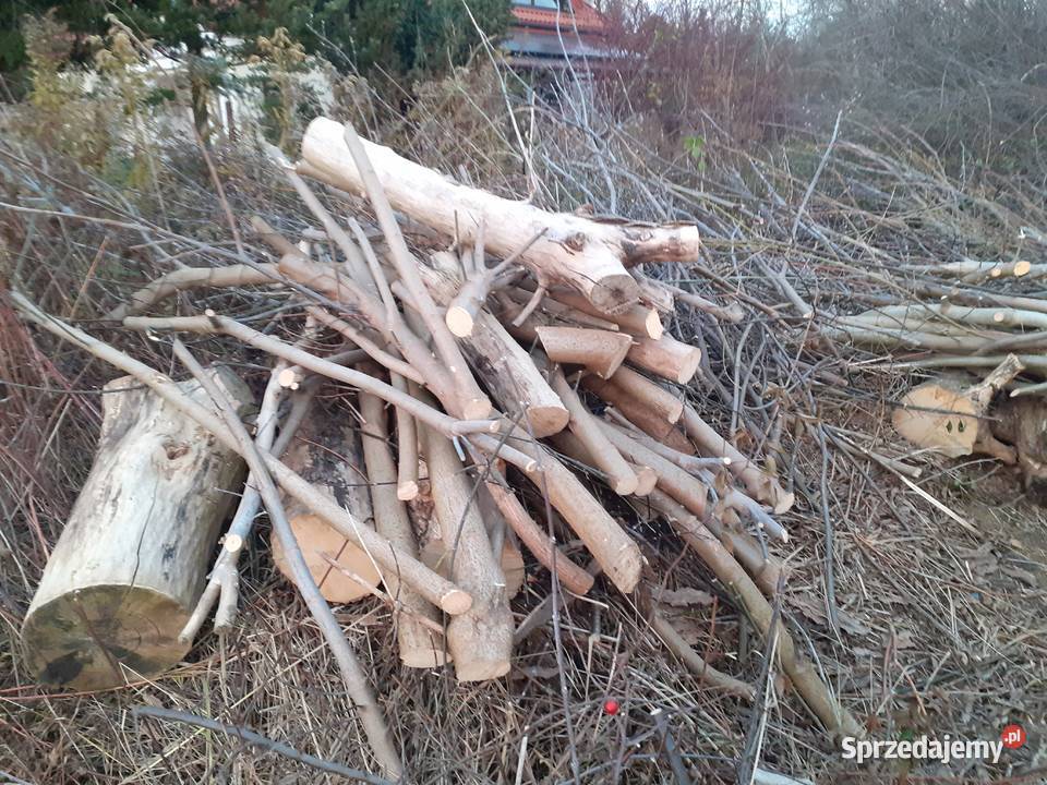 DREWNO DO PIECA KOMINKA suche osika 10 mp 125 m2 mazowieckie Warszawa sprzedam