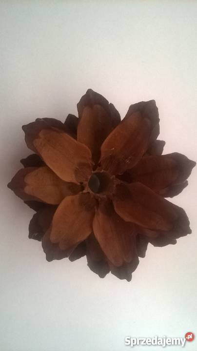 KWIATKI z szyszek sosnowych 1200 komplet Gdańsk