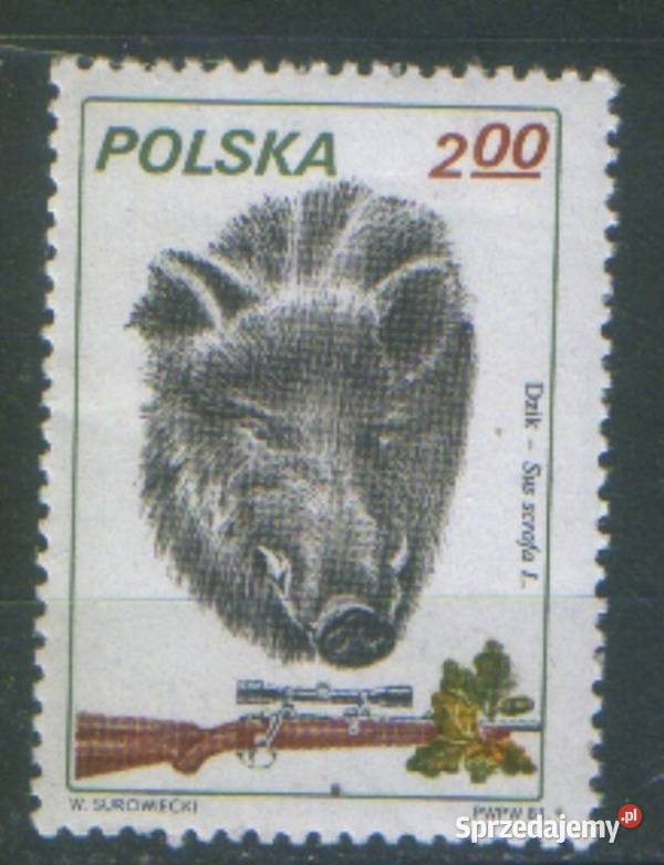 Zn Fi 2603 1981 Filatelistyka Gliwice