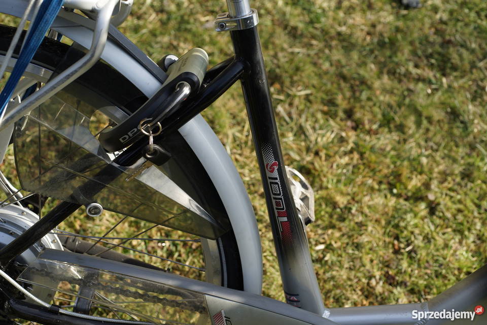 Rower elektryczny SPARTA ION L