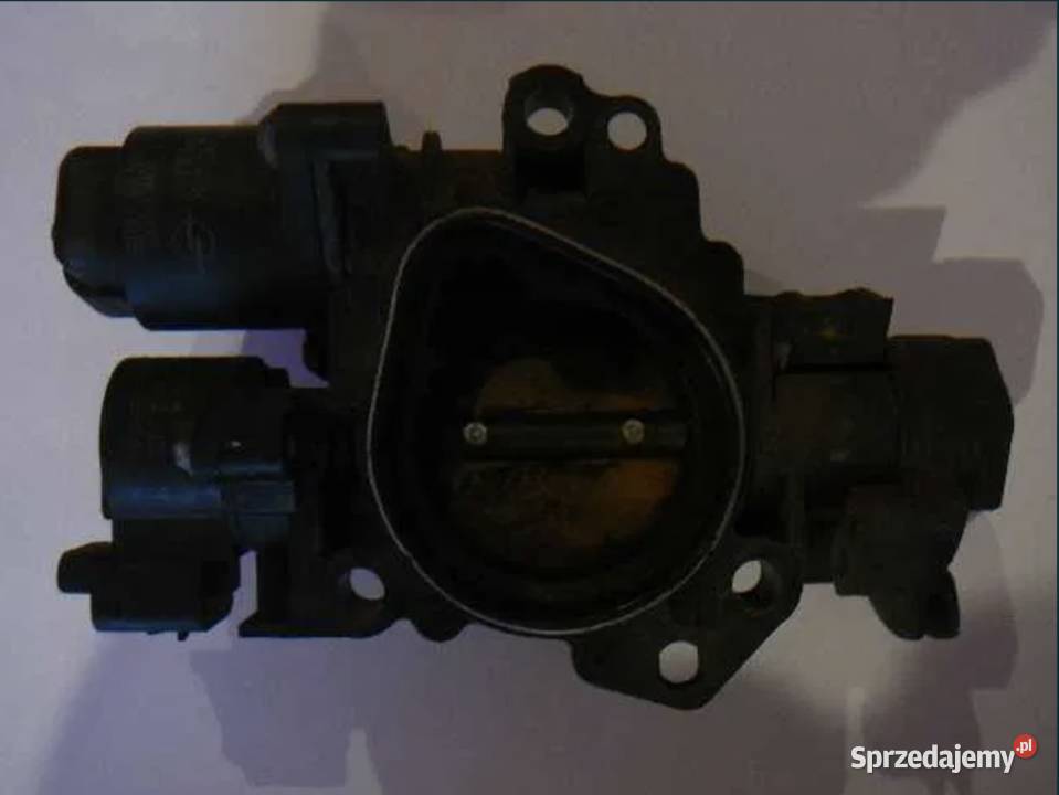 Przepustnica Citroen C2 Pozostałe Motoryzacja Ostrów Wielkopolski