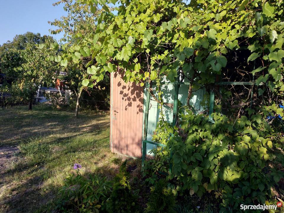sprzedam prawo do użytkowania ogródka ROD sprzedam