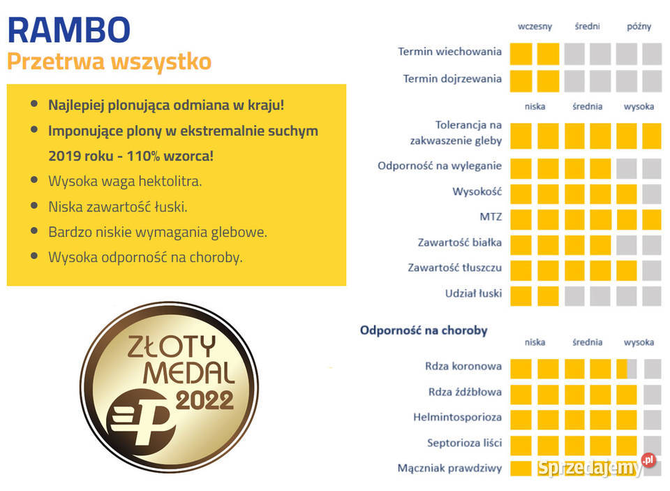 Kwalifikowane nasiona siewne owies RAMBO C1 Strubno