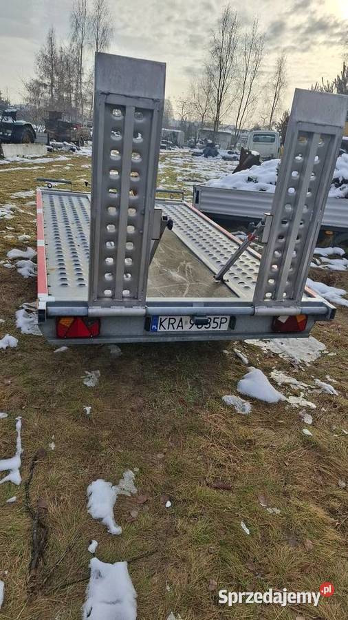 Przyczepa laweta Wiola 810kg Wygoda