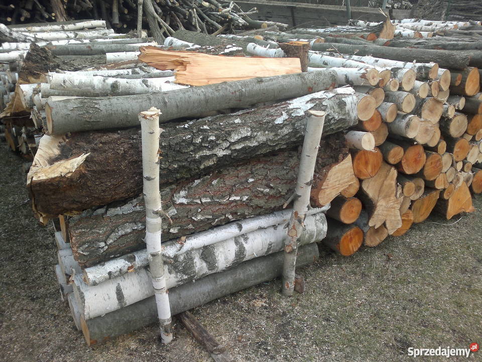 drzewo opalowe świętokrzyskie Piekoszów