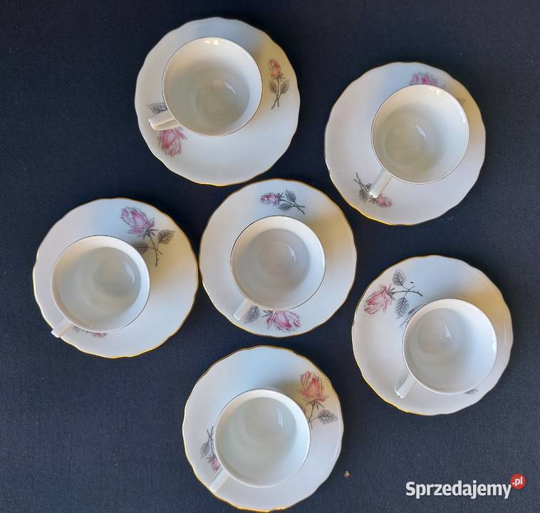 Serwis espresso Windsor Loucky Carlsbad Kraków
