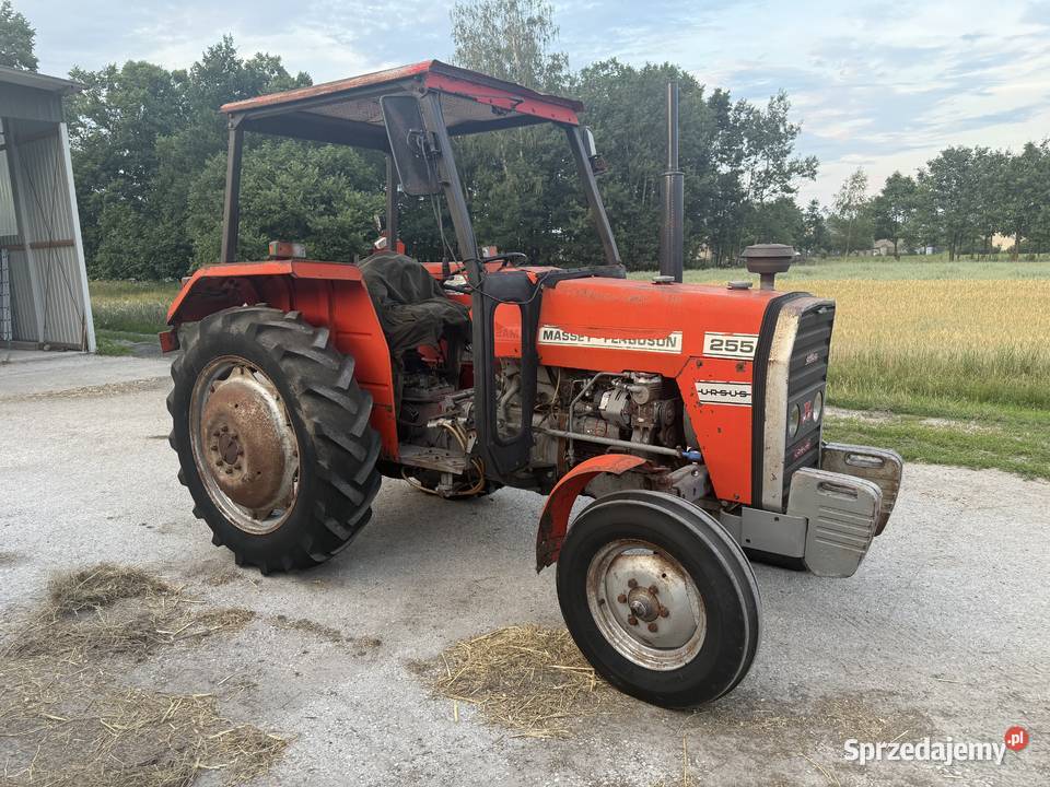 Massey ferguson 255 ursus Tczów