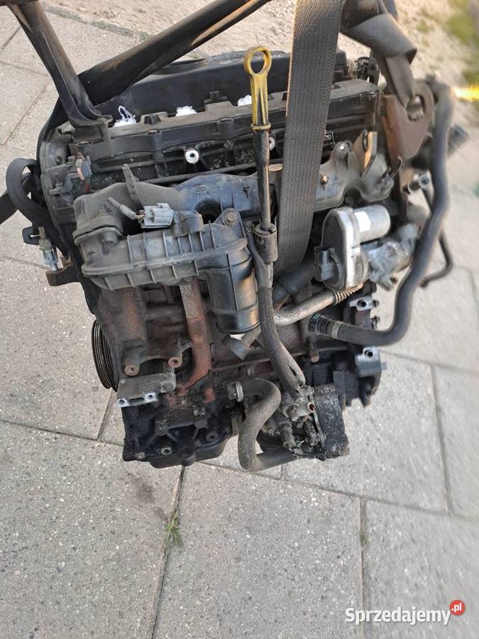 Ford Transit MK VII 20062014r 22 TDCi 130 silnik Rok produkcji 2011 Jastrzębie-Zdrój