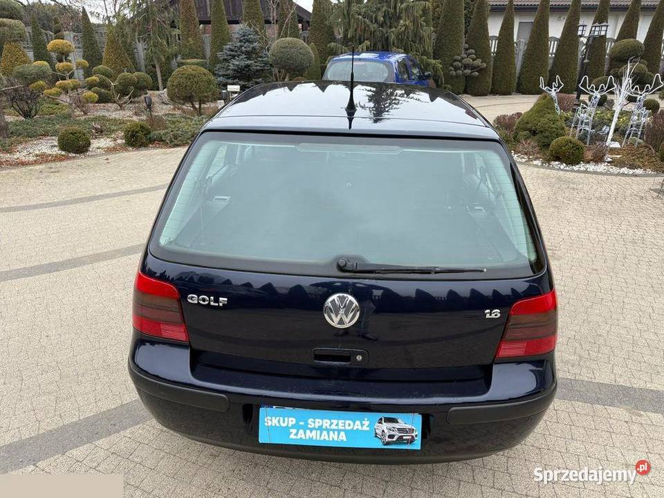 Volkswagen Golf 16 Basis 100 1999r benzyna wielkopolskie Krotoszyn sprzedam