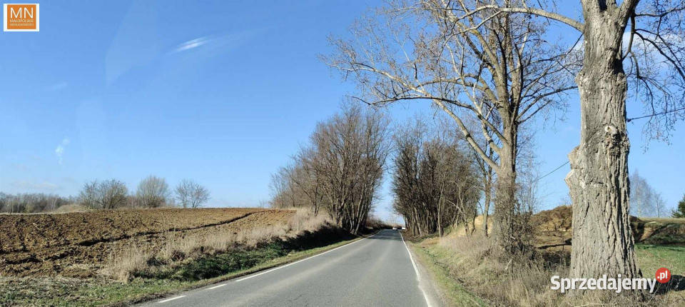 sprzedaży gruntu Wysiołek Luborzycki 2560m2