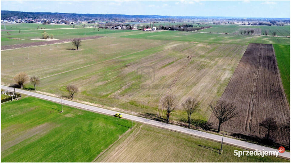 Grunt 449 ha z koncepcją 5 domów Jenin asfalt Sprzedaż