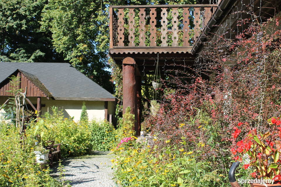 Villa Duchowizna pod Wwą na sprzedaż 475 ha inwestycyjna Nieruchomości mazowieckie Zakroczym