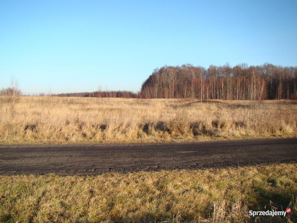 DZIAŁKI BUDOWLANE MIKOŁÓW ŚMIŁOWICE PROMOCYJNA 122zł/m2 śląskie Mikołów