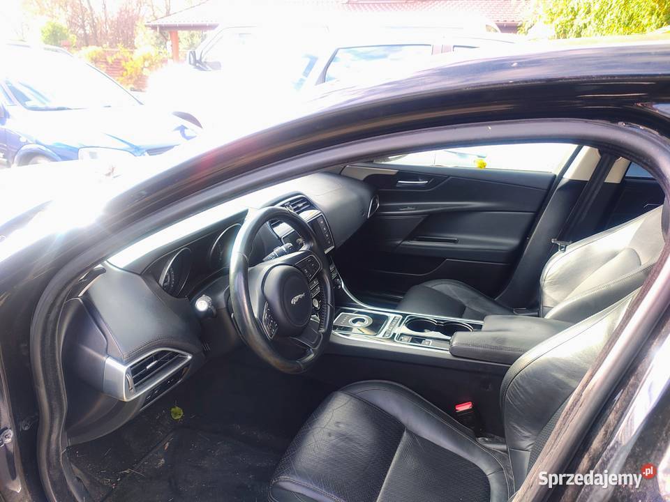 Jaguar XE Płońsk