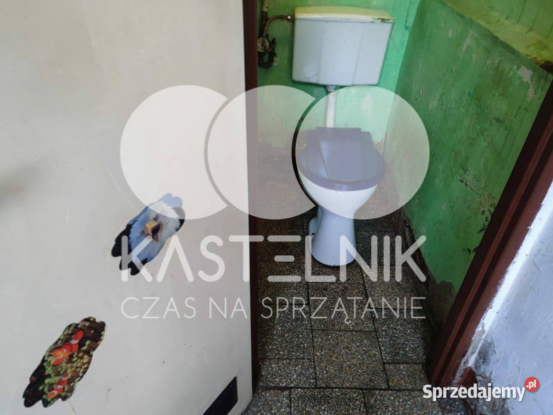 Sprzątanie zalaniach usuwanie szkód Pisz