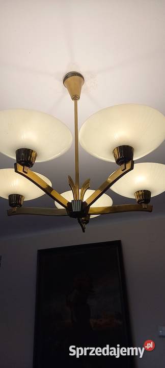 Mosiężny pięcioramienny żyrandol z kloszami w Skierniewice