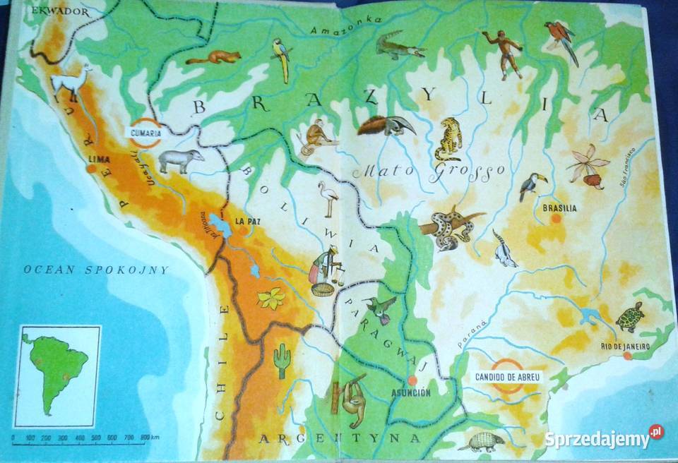 Zwierzęta z lasu dziewiczego Arkady Fiedler twarda Chełm