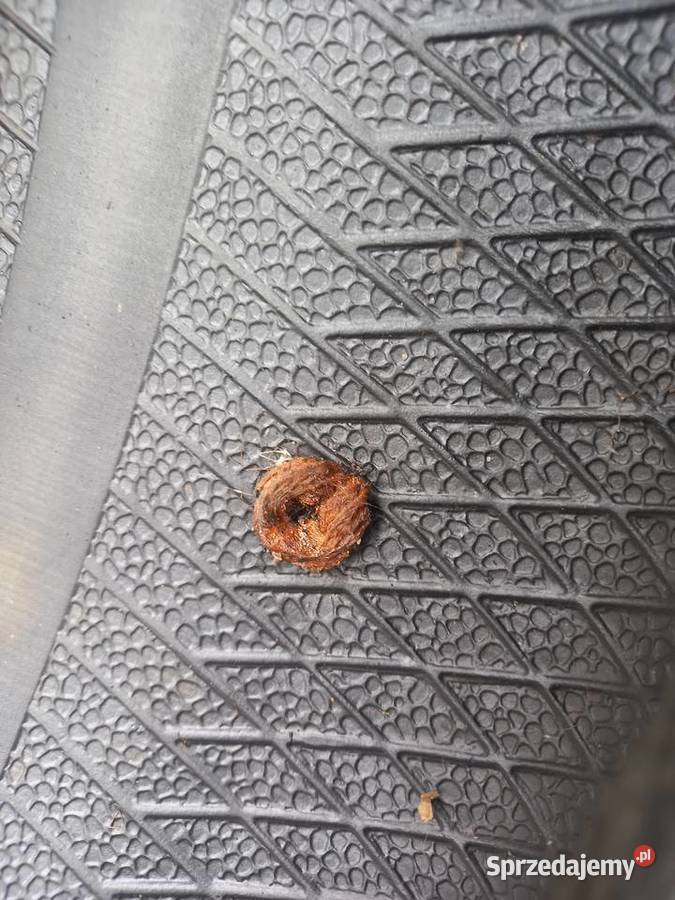 1 Dębica Presto HP2 22545R17 6mm Łódź