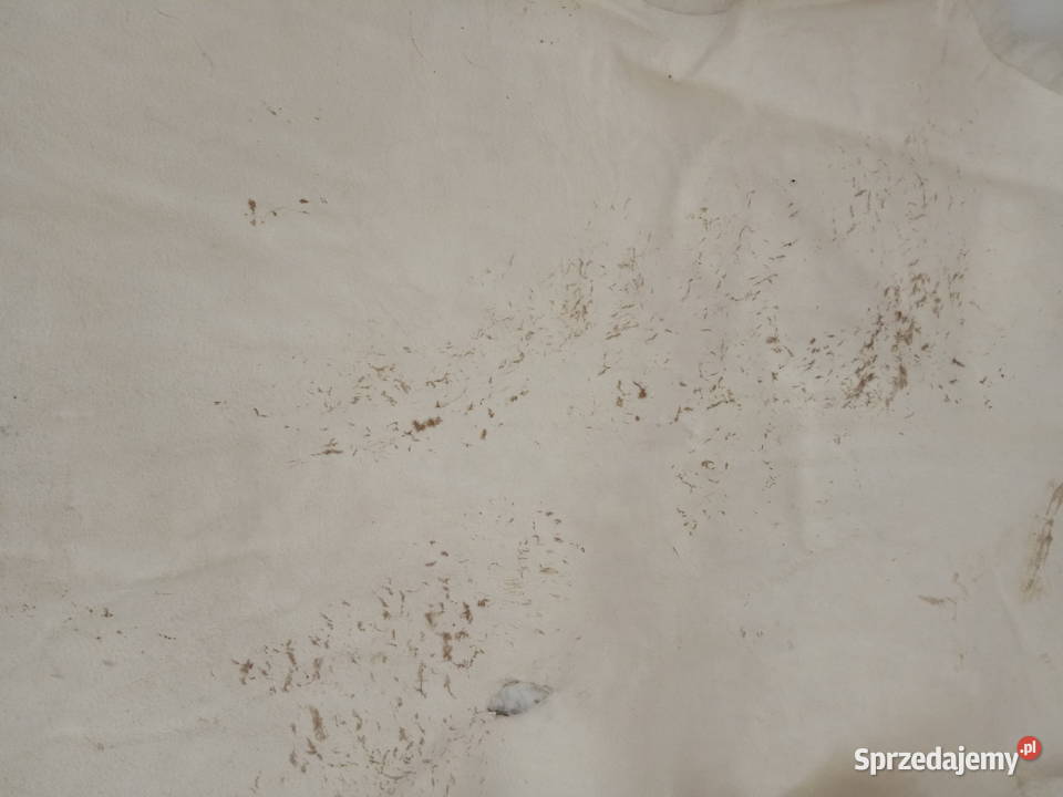 Skóra OwczaSkóry Owcze Dywaniki Dywany Chodniki Wyposażenie wnętrz