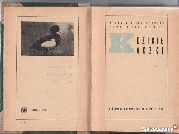 02605 DZIKIE KACZKI RYSZARD DZIĘCIOŁOWSKI I Poradniki, albumy i reportaże Czyrna