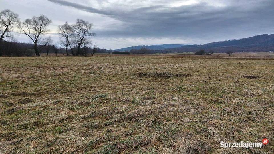 Działka na sprzedaż Gorzanów Dolnośląskie 1650m2 sprzedam