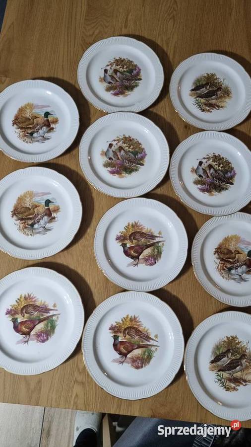 Talerze myśliwskie dzikie ptactwo Porcelana