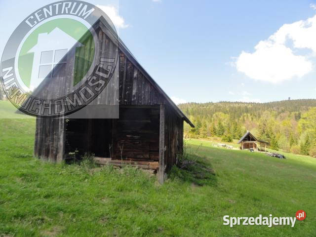 Działka 8400m2 Ochotnica Dolna sprzedam