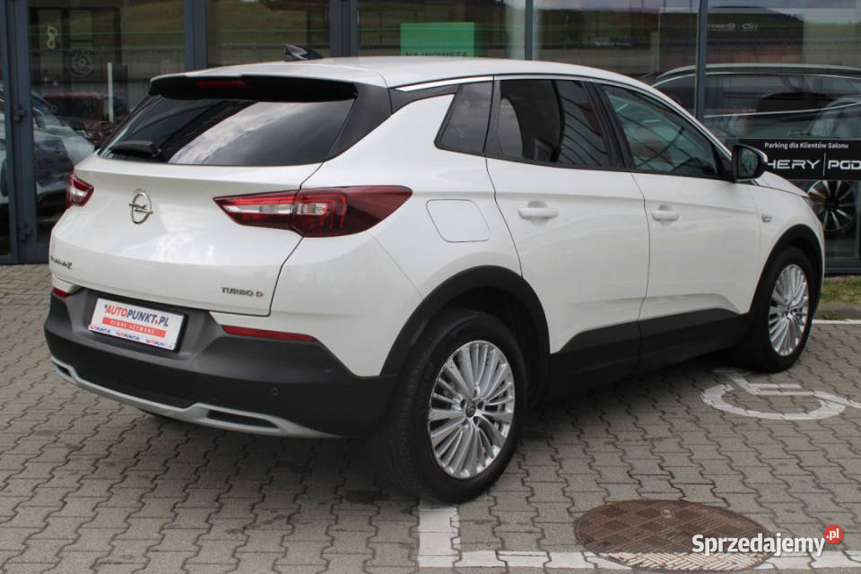 Opel Grandland X 2018r SalonPL LED CarPlay El Motoryzacja Bielsko-Biała