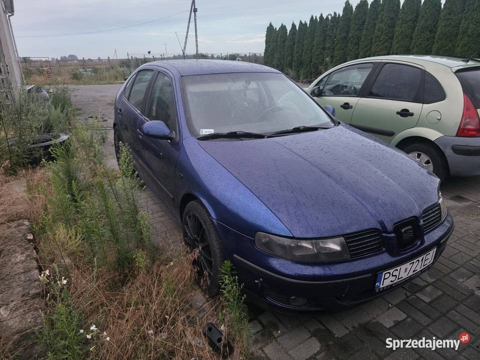 Seat leon kolizji wielkopolskie Słupca