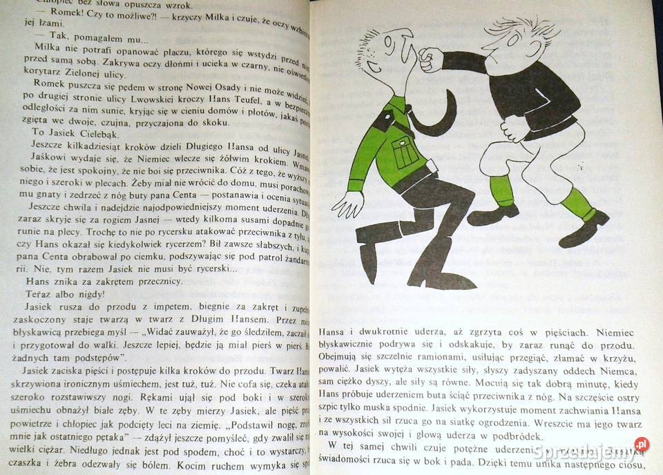 Wielka wojna z czarną flagą Wiktor Zawada Chełm