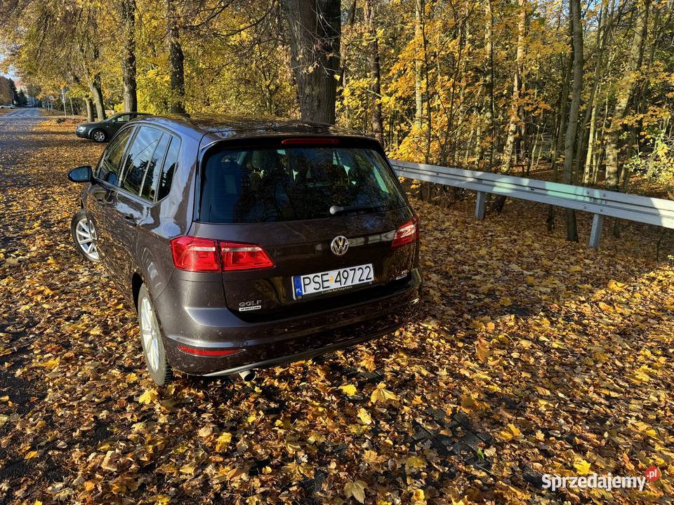 Golf Sportsvan 2015 16 Tdi niski przebieg drugi Śrem
