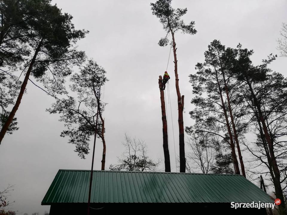Rębak spalinowy Alpinistyczne wycinki drzew Raszyn sprzedam