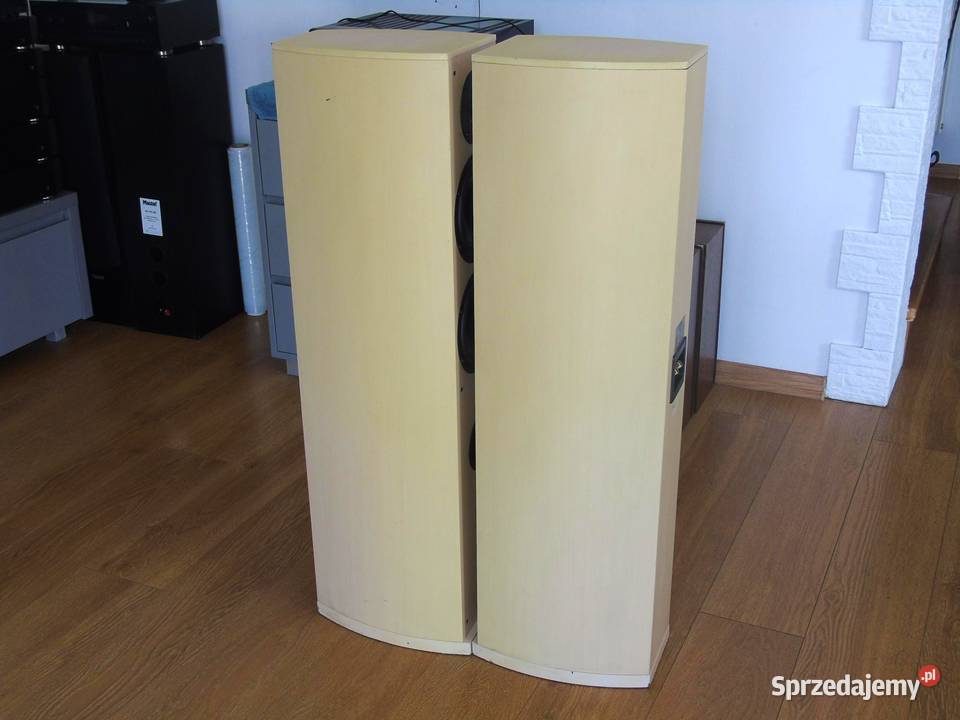 Duńskie kolumny Dantax Century 2 x 150 wat podkarpackie