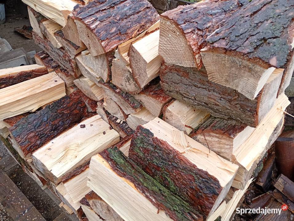 Sosna opałowa Siekierki Małe sprzedam