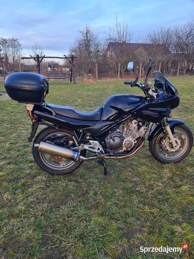 Yamaha xj600s Diversion Borowa